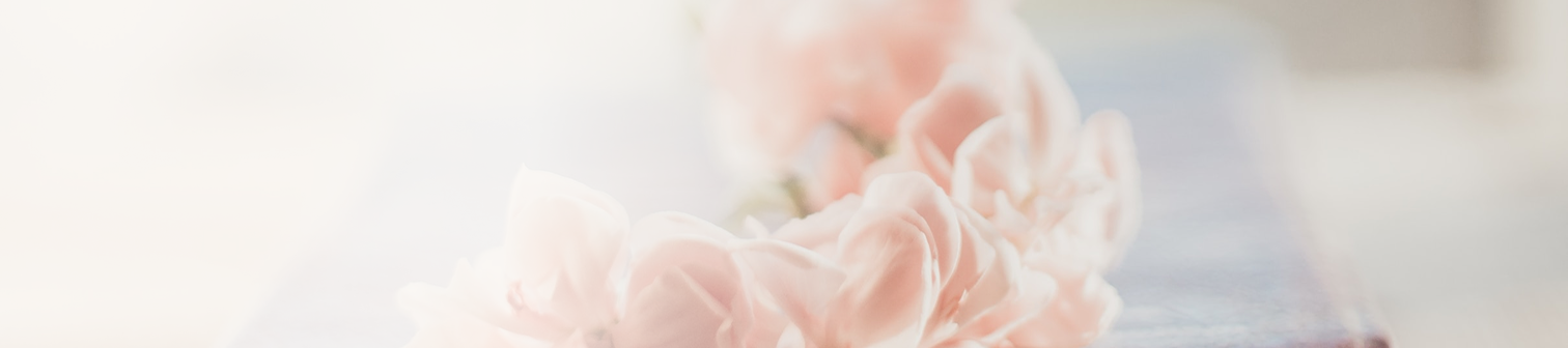 Närbild av mjuka, rosa blommor i diffust ljus.
