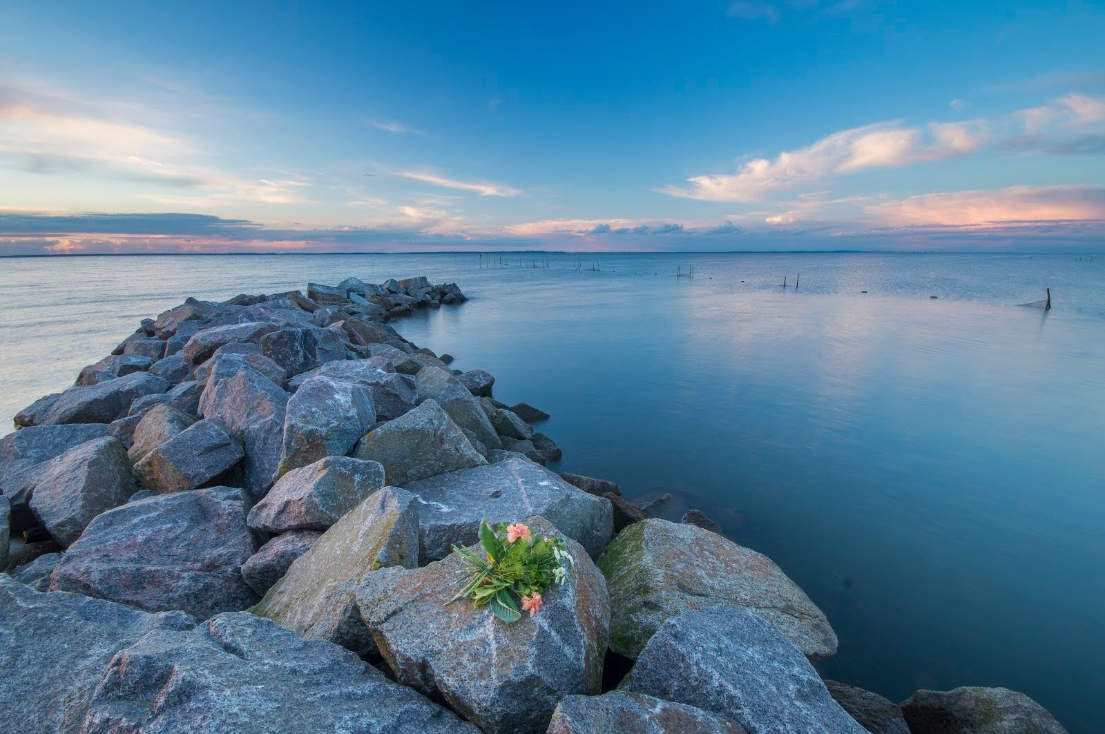 En bukett blommor ligger på en stenig pir vid en lugn sjö under en klarblå himmel med moln.